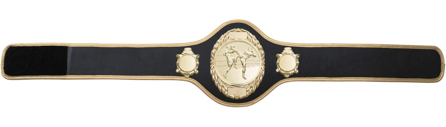 THAI BOXING CHAMPIONSHIP BELT-PRO286/G/TBOG-10+ COLOURS